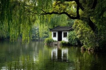 佛山绿岛湖游玩指南:探索城市绿肺与生态秘境
