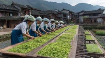 邂逅洪崖璀璨,沉醉古镇茶香