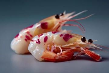 白灼大虾：家庭版餐厅佳肴