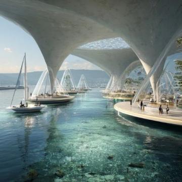 2025年冬日漫步深圳湾海上世界：城市与自然的完美交融