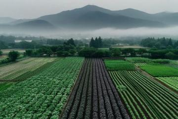 岑溪口福美食与风景之旅