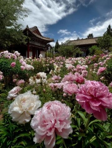 延边大学:五一假期中的美景与美味