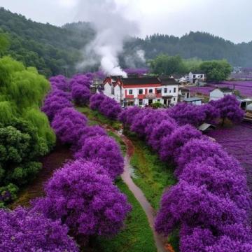 川西秘境:三月春光中,绝美花海引领颜值巅峰