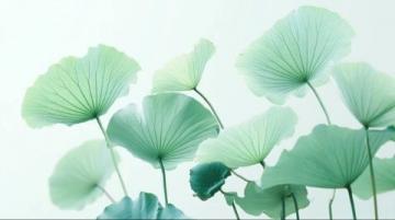 宁波植物园游玩攻略:赏花休闲全指南