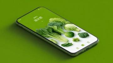 涞源风味:酸菜拌粥的独特美味(一)