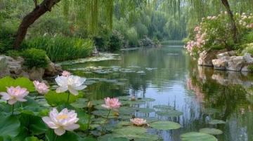 北京东边免费公园赏花踏青指南，避人潮秘境推荐
