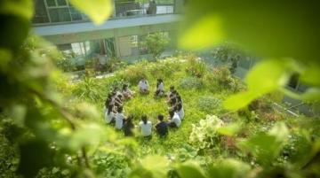 实况记录云端花园的春日盛景:杜鹃花海、亲子活动与自然之美