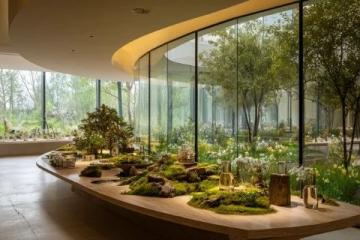 深圳东部华侨城:茶溪谷度假公园,绿色氧吧核心景区