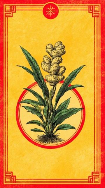 山药和人参:深度挖掘中医养生的核心