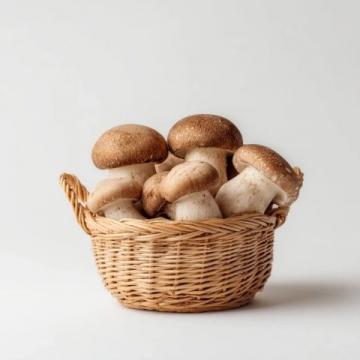 云南常见可食用野生菌种类知多少