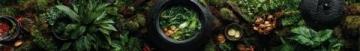 玉山美食之道:寻觅当地风味
