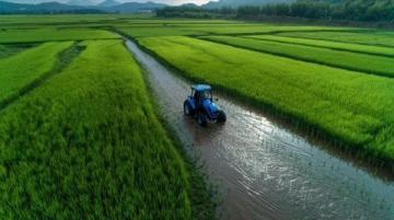 千年古韵新生,灌阳二月八农具节再现辉煌