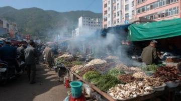 五一贵阳之行:人潮中的美食探索与交通印象