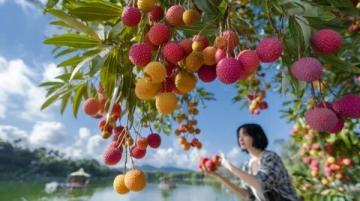 夏日里的甜美馈赠:探索慈溪的秘密果实之旅