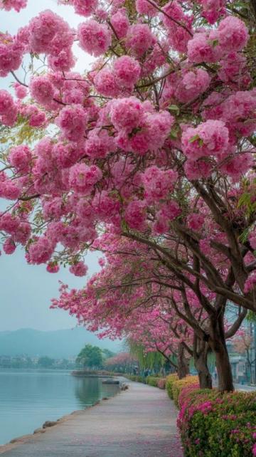 逃离都市喧嚣:探寻杭州西溪湿地里的隐世桃源——十里芳菲度假村
