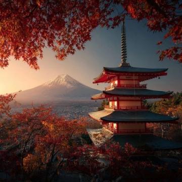 去日本六次后的深度避坑宝典和行程规划