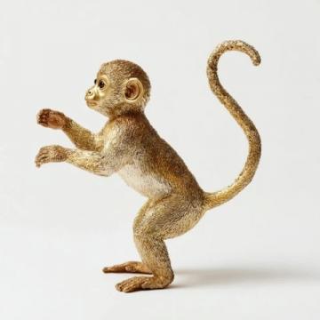 秦岭金丝猴贪吃模样惹人爱