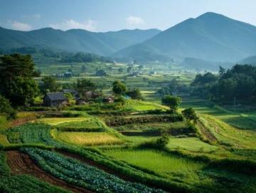 探秘中缅边境魅力小城瑞丽:自然、风情与美食之旅