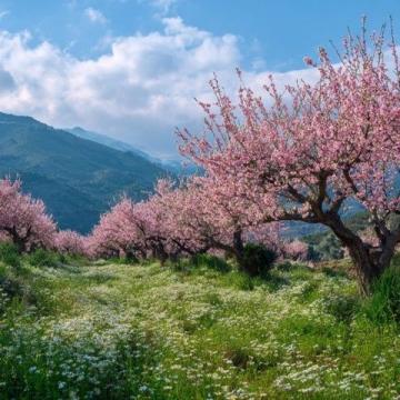 走进春暖花开的闽南美景
