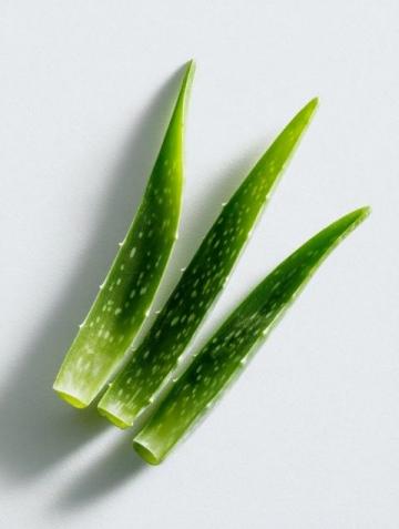 五种创意食谱解锁芦荟的美味与营养