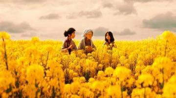 汉中市油菜花一日游攻略:梯田湖光山色美景全体验