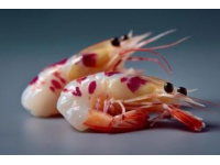 白灼大虾：家庭版餐厅佳肴
