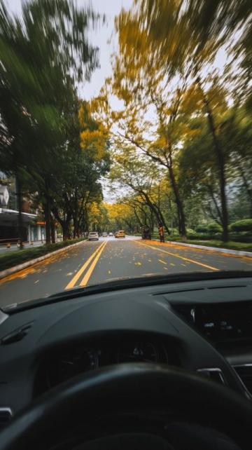 详解各国道路车道划分与行驶规则必看！