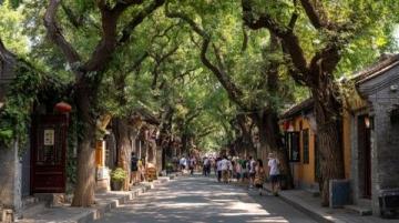 探索日照莒国古城:一份实用旅游指南