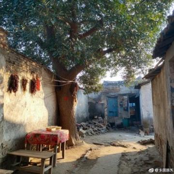 开封文旅爆火之后的冷思考:打通道路、加快节目编排及周边道路建设等
