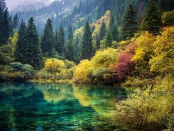 九寨沟一日游:奇幻探险之旅,开启你的山水童话之旅