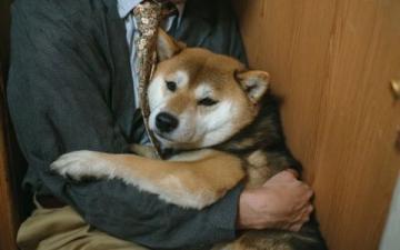 寻找伴侣的新途径：单身狗去马来西亚尝试一下！