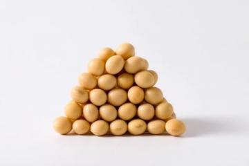 纳豆的基本常识有哪些?