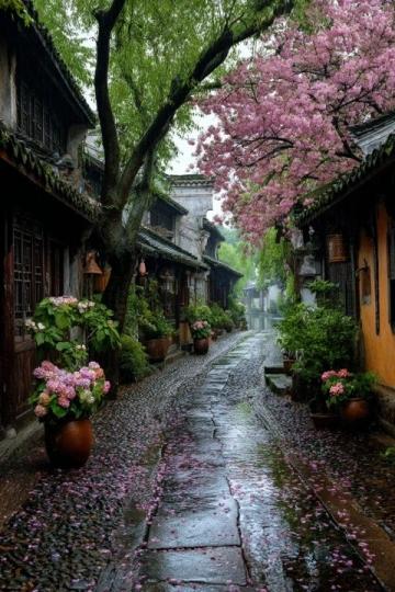 雨水中的浪漫采风:重游拱宸桥西文化街的摄影日志
