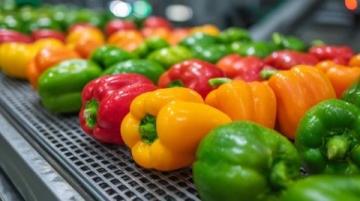 十大食品安全小常识,字数在10到40个字之间。