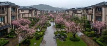 投资1.5亿打造连江坂顶村:百年老宅焕新颜,静谧古村新生记