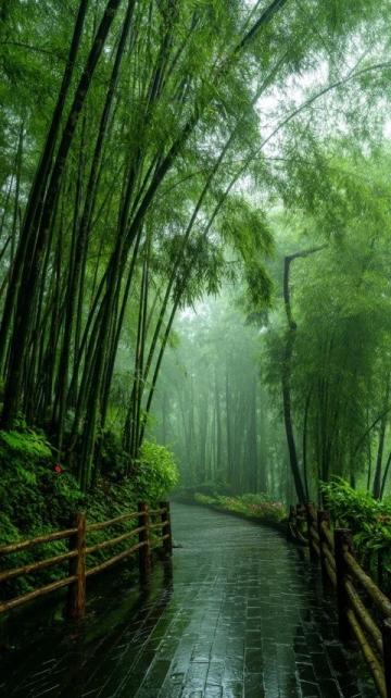 武功山:雨后的艰难抉择