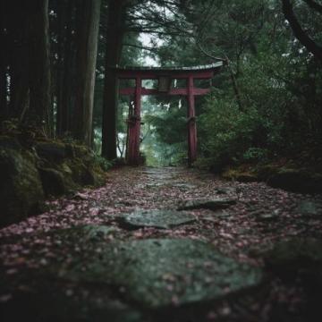 日本之行发现的三个有趣现象