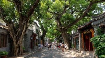 带娃游长沙：避开人群慢享老街巷与文化风情