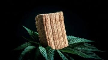 揭秘木皮:种类解析与特性详解