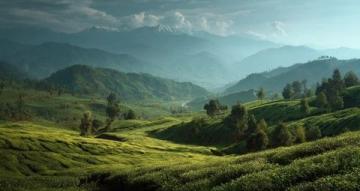 信阳浉河区文新茶村：茶香与美景交织的世外桃源