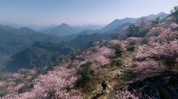 安徽春季旅游必看景点攻略:黄山三天游自驾游注意事项美食推荐