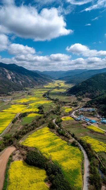 大美河南寻味中原之旅河南5日游
