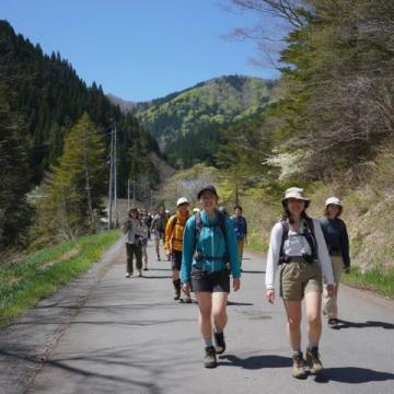 襄阳春日逃离计划:与山野来一场浪漫邂逅