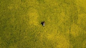 江南秘境:藏于古村中的油菜花海等你来探秘