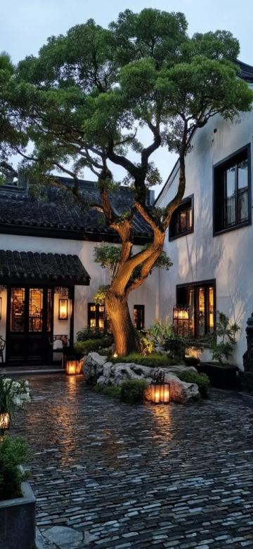 三亚必吃20年老店“林姐香味海鲜”——地道美味，让你哭着喊着还要来！