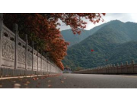 漯河旅游攻略，包括景点、美食、住宿等方面的信息