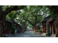 黄山三日游攻略：屯溪老街、黎阳in巷与黄山风景区探秘