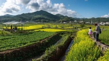 丹东宽甸下露河乡：山水花村与朝鲜风情的边境秘境