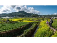 丹东宽甸下露河乡：山水花村与朝鲜风情的边境秘境