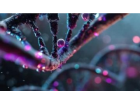 七年级上册生物期中考试重要知识点梳理汇总，记住了就能拿分